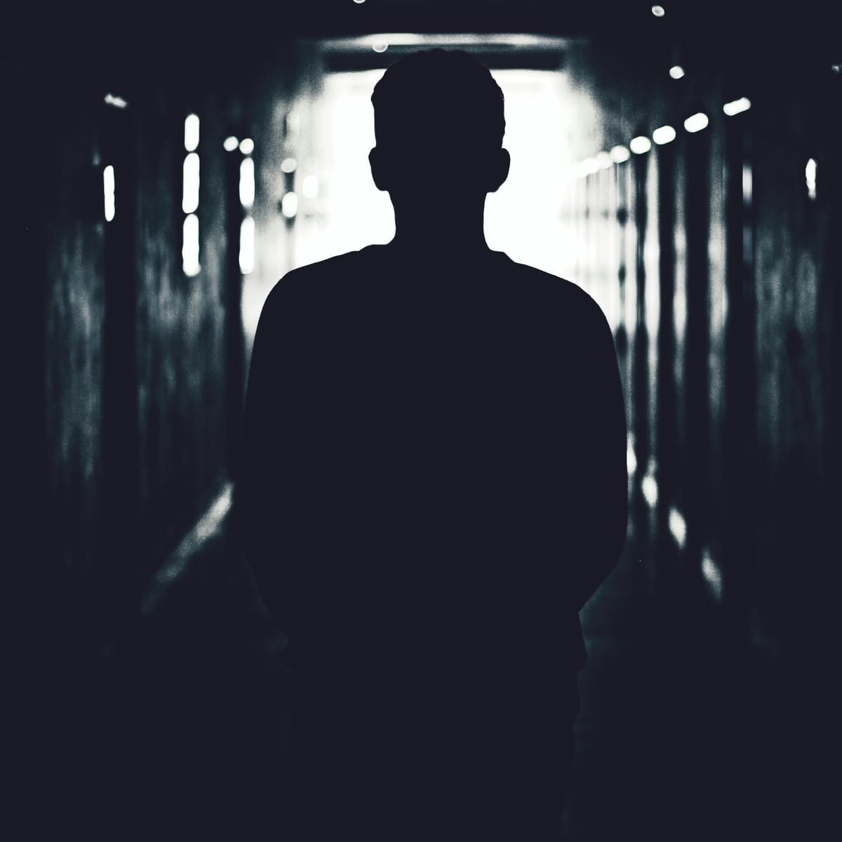 عائشہ فاروق avatar